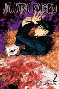 Jujutsu Kaisen Vol. 2 – The Curse Womb Birth